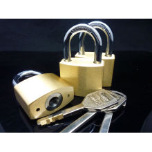 W206/Brass 50mm 60mm 70mm master key disc lock